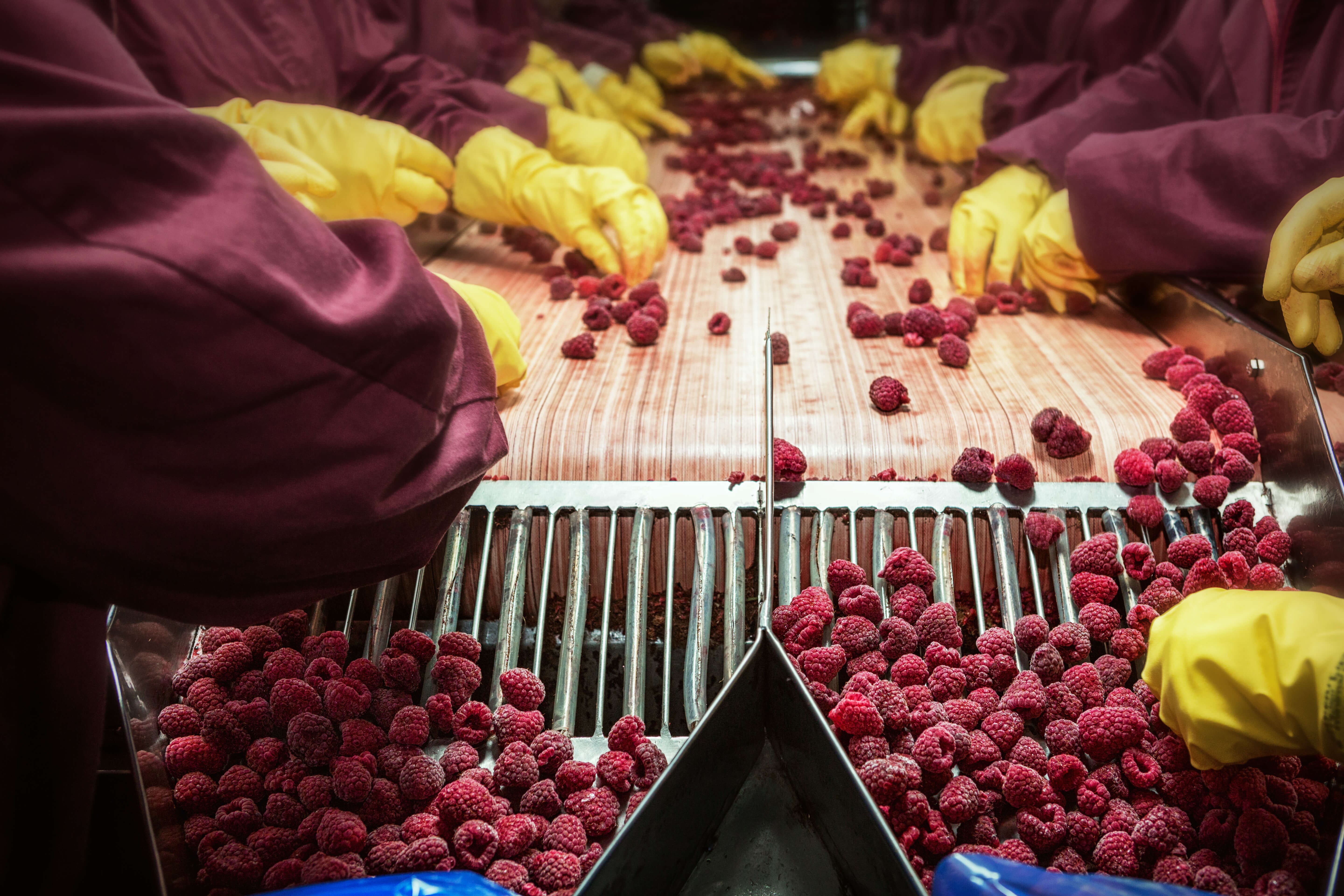 picking cold storage
