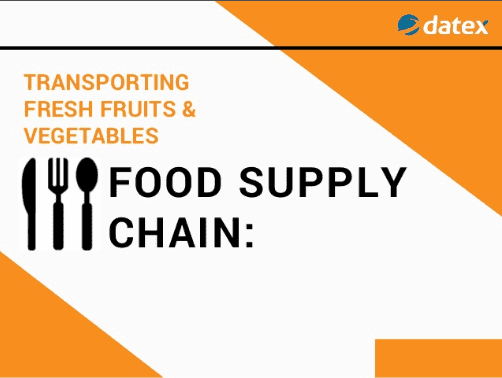 Food Supply Chain: Transporting Fresh Fruits & Vegetables
