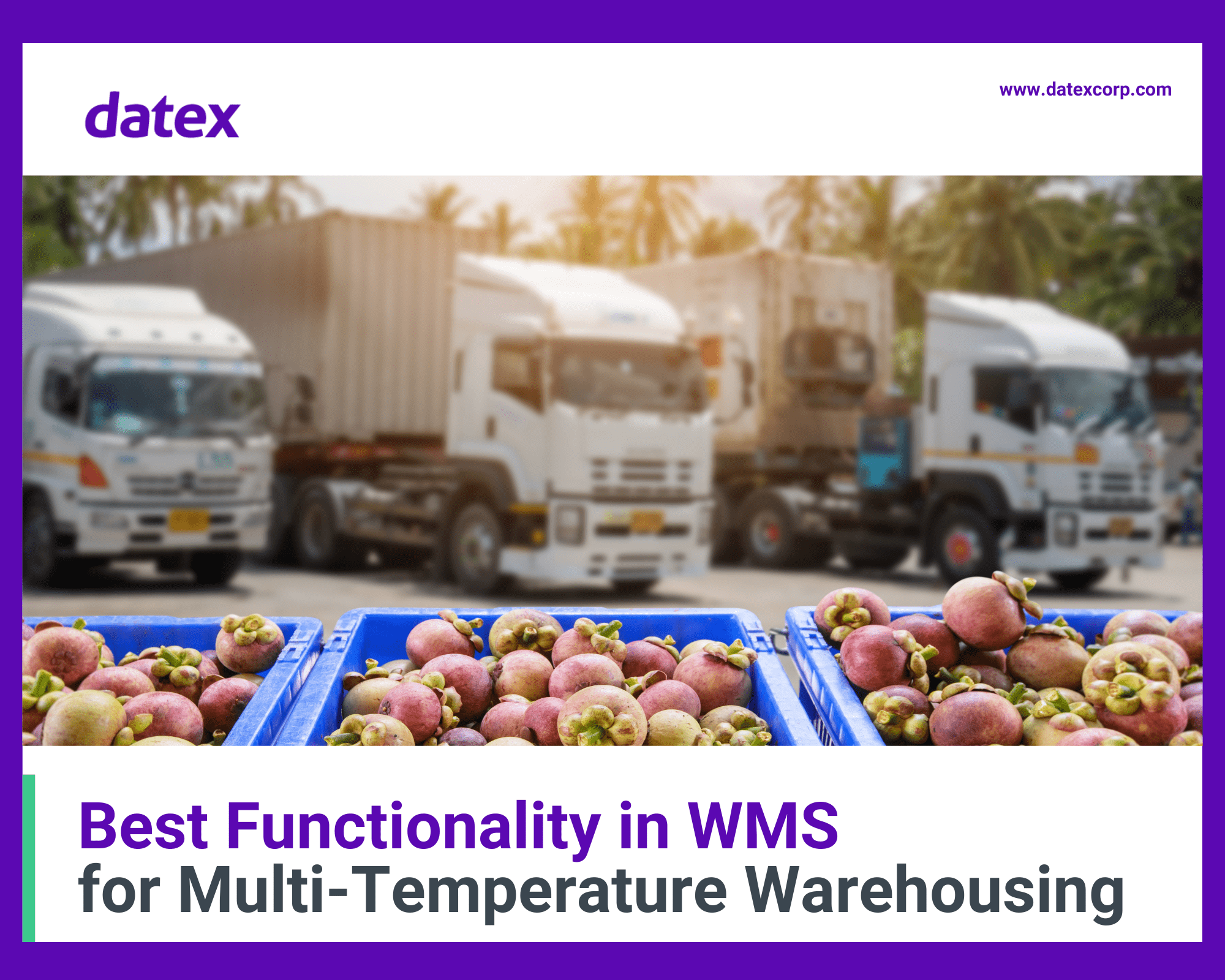 Multi-temp warehousing white paper