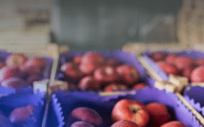 Datex Footprint® Cold Storage WMS Flipbook