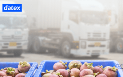 Best Functionality in WMS for Multi-Temperature Warehousing