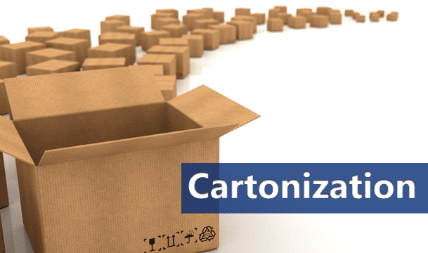 what is cartonization what is cartonization