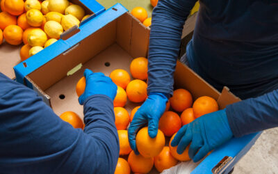 2024 Industry Cold Storage Warehouse Update:  Food and Beverage